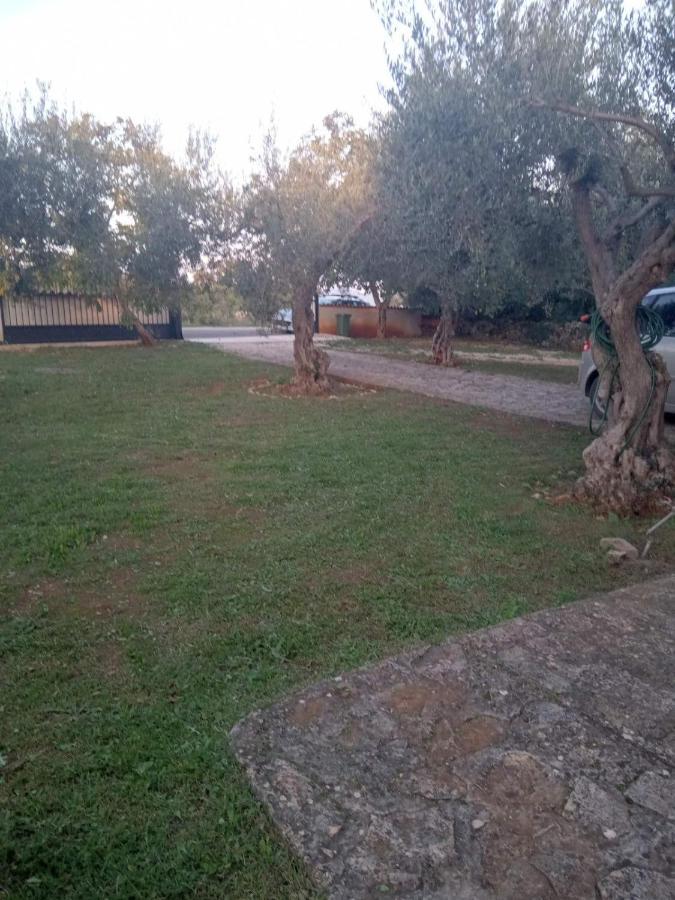 Apartman Krcina クルニカ エクステリア 写真